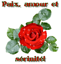 quest-ce que tu choisis??
